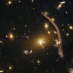 Meet your Posher, Zay